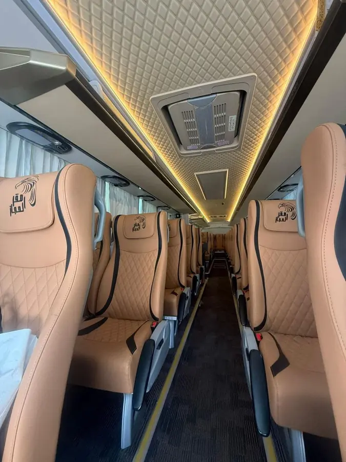 VIP bus seats